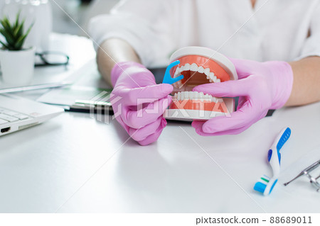 Dentist showing on jaw model how to clean the teeth correctly. Dentist showing on jaw model how to clean the teeth correctly. 88689011