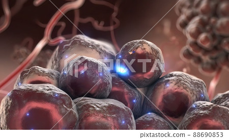 Antibodies that attack tumor cells 88690853