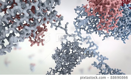 Antibodies are proteins produced by the immune system to fight infections. Antibodies are proteins produced by the immune system to fight infections. 88690866