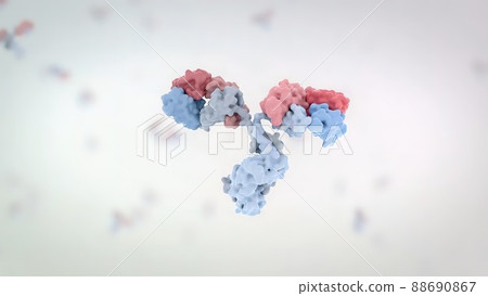 The structure of a typical antibody molecule.Antibodies and amino acids The structure of a typical antibody molecule.Antibodies and amino acids 88690867