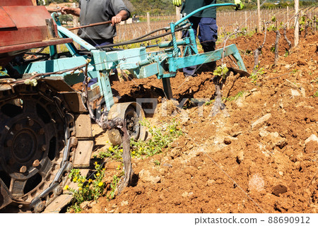 Plowing the vineyard with the tractor. Agriculture. 88690912