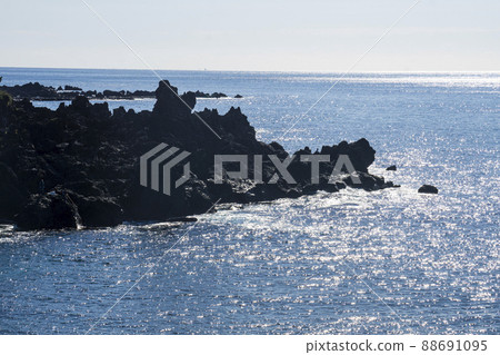 Sea landscape of Jeju island 88691095