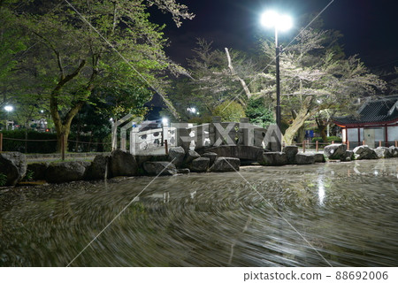 Flower raft in Japan-China Friendship Garden on a spring night when weeping cherry blossoms bloom Flower raft in Japan-China Friendship Garden on a spring night when weeping cherry blossoms bloom 88692006