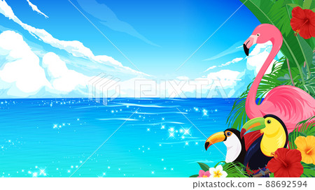 熱帶鳥類和海洋背景_插圖素材_16：9 88692594