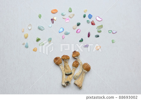 Psychedelic psilocybin mushrooms on white background, micro-dosing concept 88693002