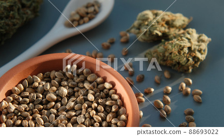 A bunch of cannabis seeds lie on a spoon and plate with several dried buds 88693022