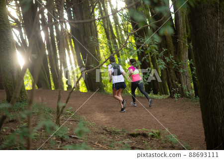 Back view of lively man and woman jogging in forest Back view of lively man and woman jogging in forest 88693111