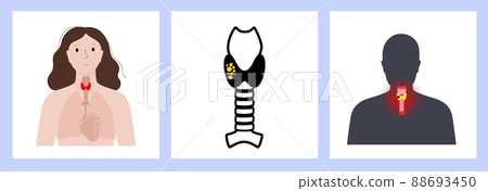 Thyroid gland vector 88693450