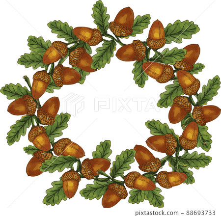 Hand drawn watercolor oak branch wreath with acorns Hand drawn watercolor oak branch wreath with acorns 88693733