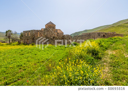Ruins of Panagia tou Sinti ortodox Monastery with temple in the center and yellow flowers in the foreground, Cyprus 88693816