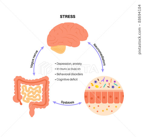 Gut brain connection Gut brain connection 88694184