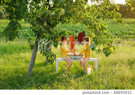 Two girls help with housework by washing their clothes in the garden under a tree in the fresh air on a hot sunny summer day. Little helpers Two girls help with housework by washing their clothes in the garden under a tree in the fresh air on a hot sunny summer day. Little helpers 88695032