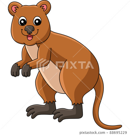Quokka Animal Cartoon Colored Clipart Illustration 88695229