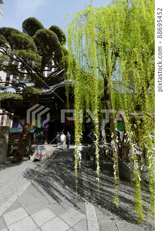 春天京都六角堂本館和六角柳,京都市中京區 春天京都六角堂本館和六角柳,京都市中京區 88695452