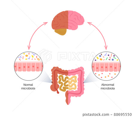 Gut brain connection 88695550