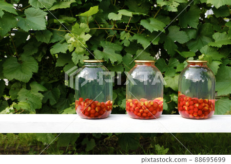 Jars of cooked compote are on the table on a natural background of leaves. Preparation and preservation of fruits and berries. Food canning Jars of cooked compote are on the table on a natural background of leaves. Preparation and preservation of fruits and berries. Food canning 88695699