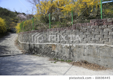 Jeongneunggol. Redevelopment. Seongbuk-gu. Alley. Spring flowers 88696445