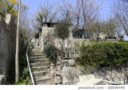 Jeongneunggol. Redevelopment. Seongbuk-gu. Alley. Spring flowers 88696446