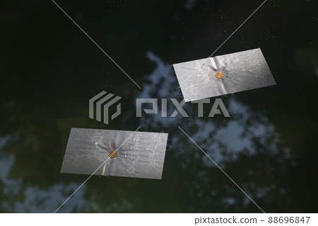 <Shimane Prefecture> Yaegaki Shrine Mirror Pond Fortune-telling <Shimane Prefecture> Yaegaki Shrine Mirror Pond Fortune-telling 88696847