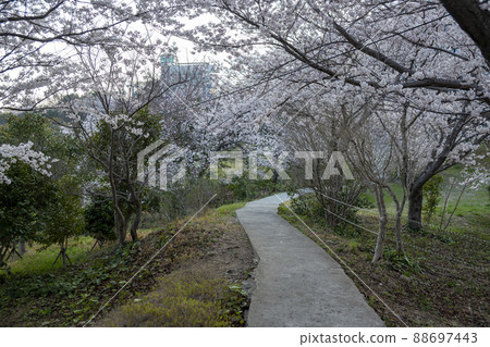 Jasan Park 88697443
