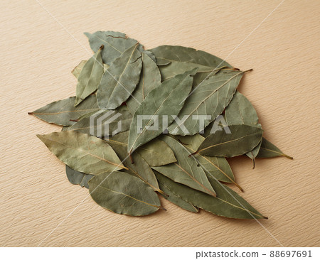 勞裡的葉子 88697691