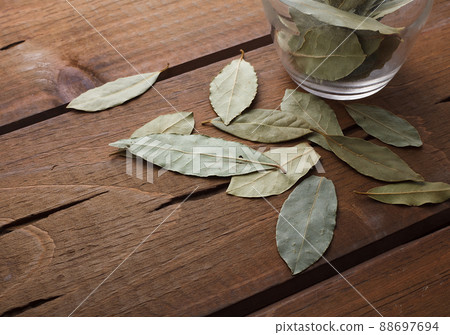Leaves of Laurie 88697694
