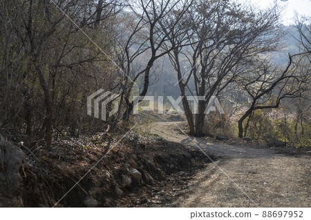 Yeongchwisan Yeongchwisan 88697952
