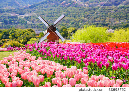 [國立明石海峽公園]兵庫縣淡路市的夢幻舞台 88698762