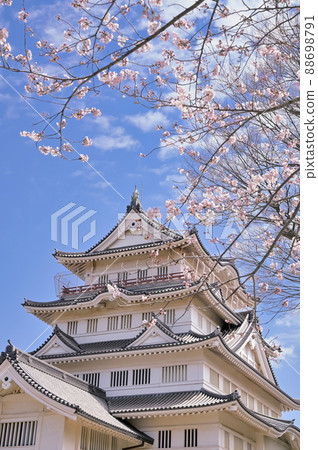 Yoshino cherry tree and Inohana castle Yoshino cherry tree and Inohana castle 88698791