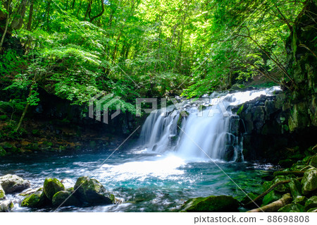 大瀧立科（夏季） 88698808