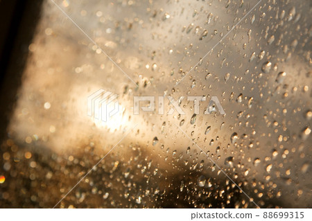 Window Window 88699315