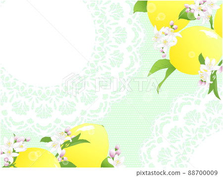 檸檬果花背景①（白色蕾絲、圓點背景） 88700009