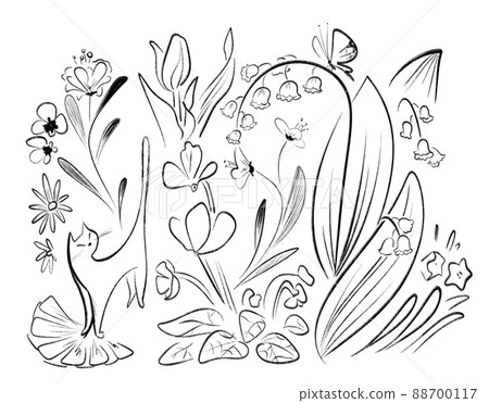 Line drawing of plants and cats Line drawing of plants and cats 88700117
