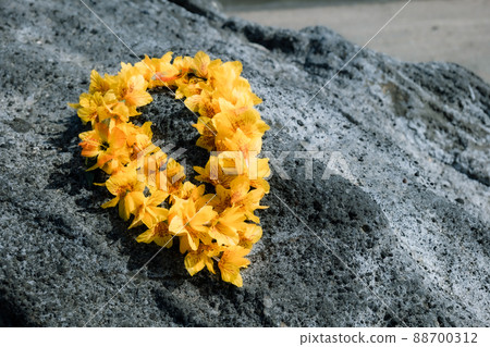 Hawaiian lei yellow flower lei overseas travel aloha outside travel Hawaiian lei yellow flower lei overseas travel aloha outside travel 88700312