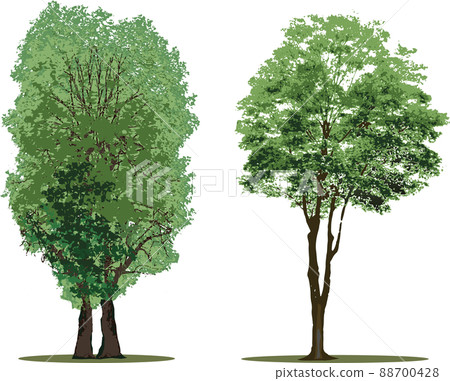 Tree tree set Tree tree set 88700428