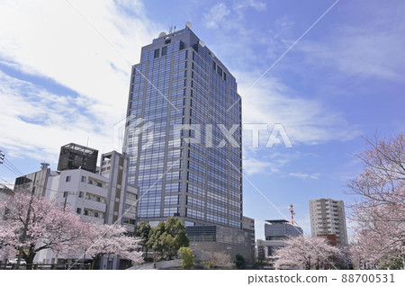千葉縣政府和千葉市的春天風景 88700531