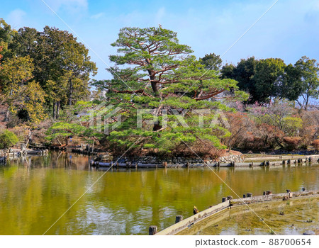 京都梅宮大社神社 京都梅宮大社神社 88700654