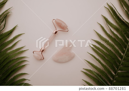 Pink gua sha and quartz face massage roller and fern leaves on pink background. Top view Pink gua sha and quartz face massage roller and fern leaves on pink background. Top view 88701281