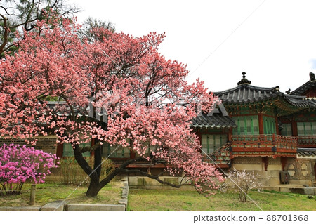 歷史遺跡，昌德宮 88701368