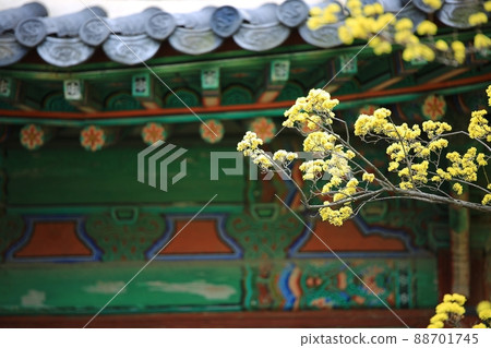 Beautiful Palace, Changdeokgung Palace, World Heritage Site Beautiful Palace, Changdeokgung Palace, World Heritage Site 88701745