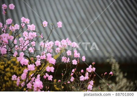 Beautiful Palace, Changdeokgung Palace, World Heritage Site 88701800