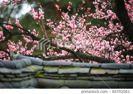 UNESCO World Heritage Site, Changdeokgung Palace UNESCO World Heritage Site, Changdeokgung Palace 88702062