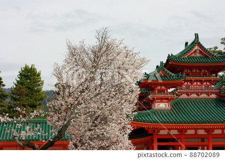 Cherry blossoms at Heian Shrine 88702089