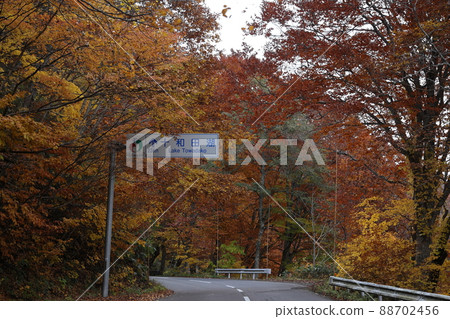 Autumn leaves of Ongawa Onsen (Aomori Prefecture) Autumn leaves of Ongawa Onsen (Aomori Prefecture) 88702456