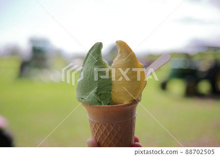 蘭茶抹茶南瓜冰淇淋（青森縣） 88702505