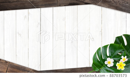 Natural background material with the image of a tropical country Natural background material with the image of a tropical country 88703573