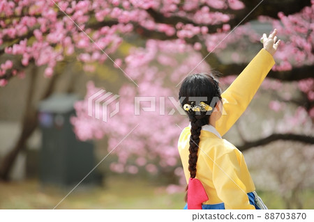 Korean beauty, palace tour, beauty 88703870