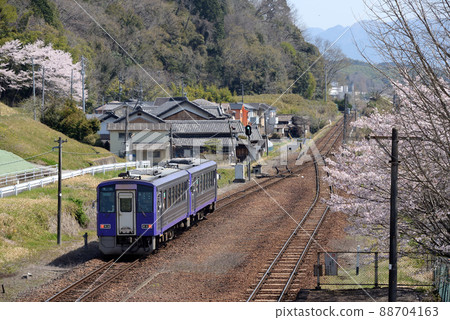 伊加伊的春天 88704163