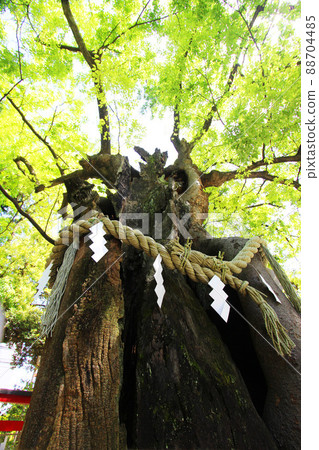 新田神社新北 新田神社新北 88704485