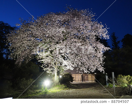 芥澤家宅邸（國家重要文化財產） 88704507